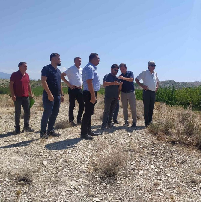 Mut’ta Kayısı Islah Ve Adaptasyon Çalışmaları Yapılacak