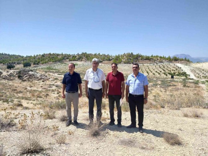 Mut’ta Kayısı Islah Ve Adaptasyon Çalışmaları Yapılacak