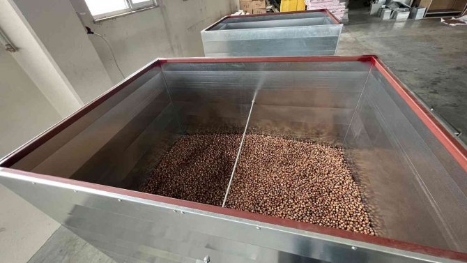 Fabrikasının Bahçesine Serdiği Fındığı Kurutamayınca Fındık Kurutma Makinası Yapmaya Karar Verdi