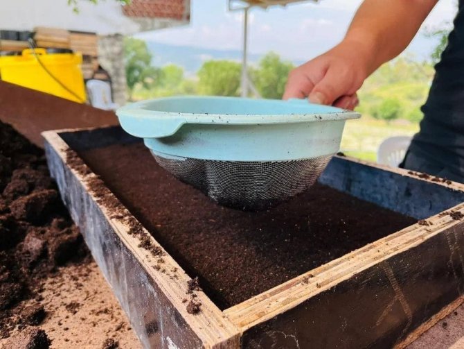 Safranbolu Belediyesi Serasında Kış Hazırlığı