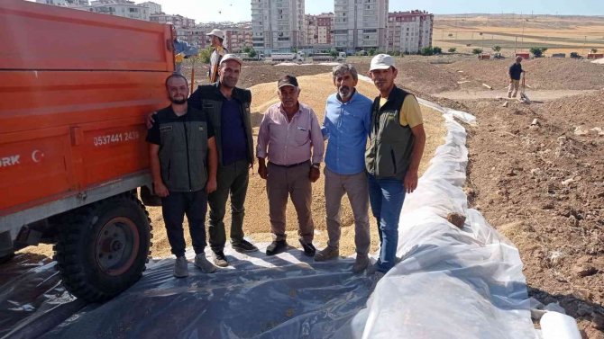 Buğdayda Rekor Üretimle Ambarlarda Boş Yer Kalmadı