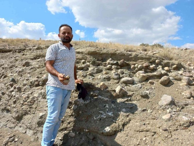 Bozkırın Ortasında Deniz Fosilleri Bulundu