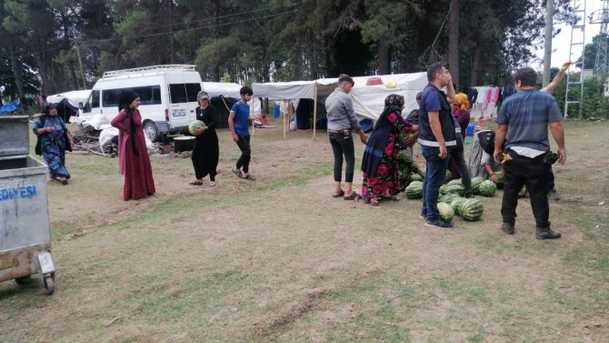 Tarladan Aldığı Karpuzları Vatandaşa Ücretsiz Dağıttı