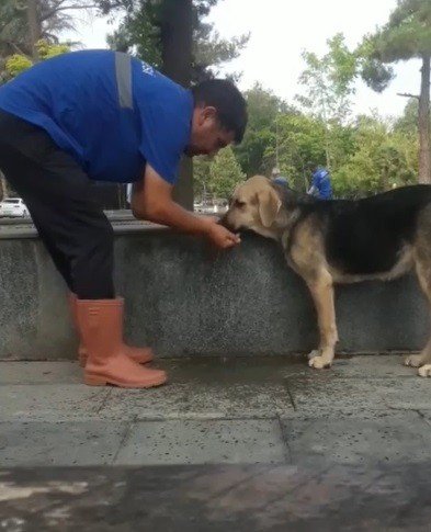 Susuz Kalan Köpeğe Eliyle Su İçirdi