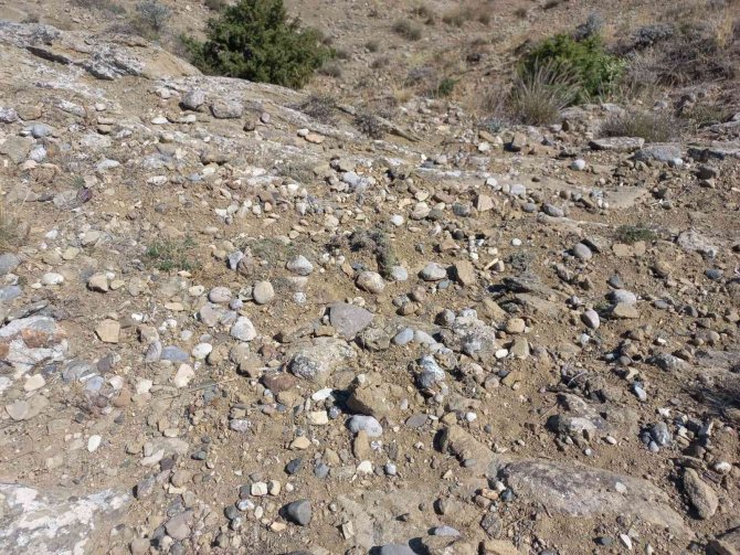 Bozkırın Ortasında Deniz Fosilleri Bulundu