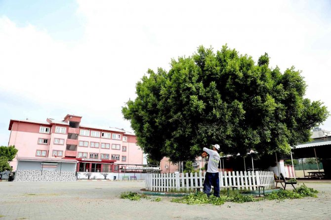 Yüreğir’de Okullar Yeni Eğitim Dönemine Hazırlanıyor