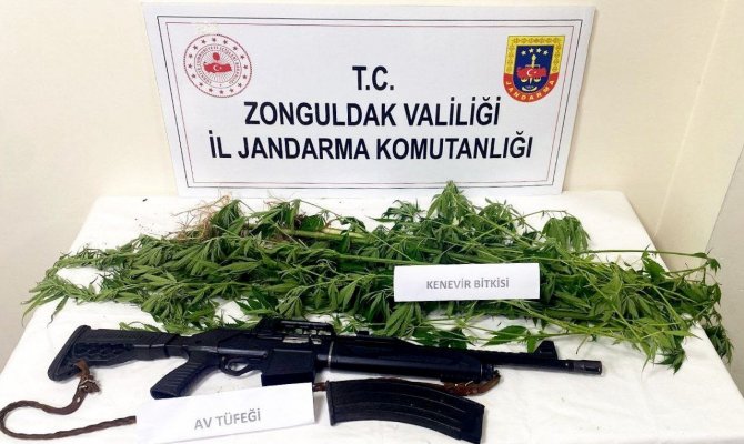 Jandarmadan Kdz. Ereğli Ve Kozlu’da Uyuşturucu Operasyonu