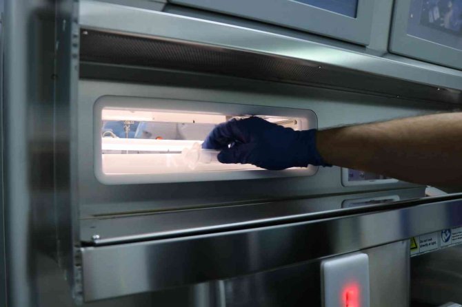 ’Akıllı İlaç’ Kanser Hücrelerini Kendiliğinden Öldürüyor