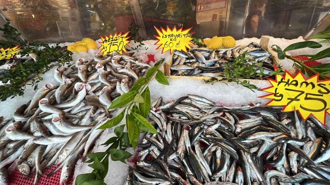 Balıkseverler Bu Sezon Hamsi Ve Palamuda Doyacak