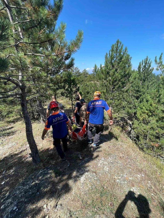 Doğa Yürüyüşü Yapmak İçin Gittiği Ormanda Hayatını Kaybetti