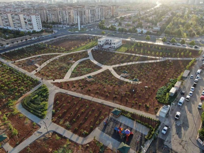Bağlar Belediyesi 41 Ayda 300 Bin Metrekare Yeşil Alan Oluşturdu