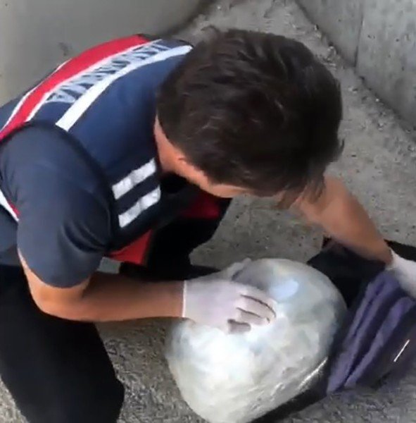 Uyuşturucu Taciri, Narkotik Köpeğinden Kaçamadı