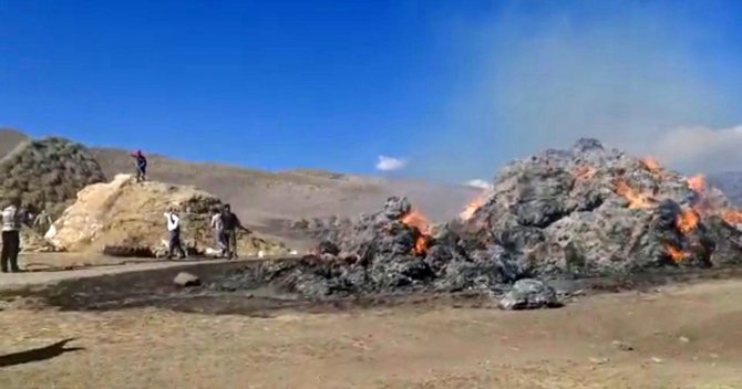 10 Bin Balya Ot Yanarak Kül Oldu