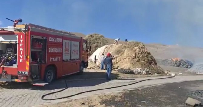 10 Bin Balya Ot Yanarak Kül Oldu