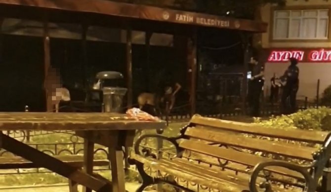 Fatih’te Çıplak Vaziyette Etrafa Saldıran Kadın Mahalleliyi Canından Bezdirdi