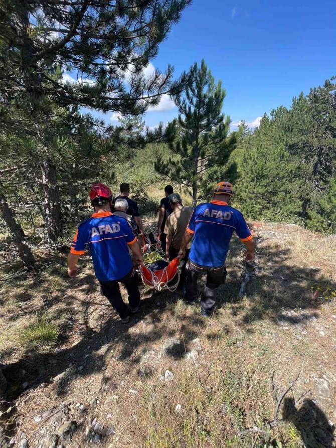 Doğa Yürüyüşü Yapmak İçin Gittiği Ormanda Hayatını Kaybetti