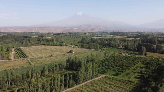 İ̇rem Bağlarında Yeşilliğin Son Demleri Yaşanıyor