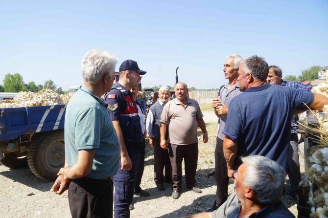Dünyaca Ünlü Taşköprü Sarımsağında Kıyasıya Pazarlıklar Yaşanıyor