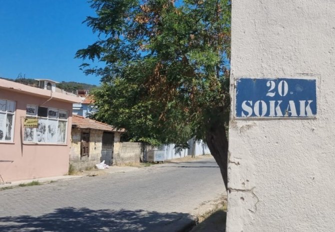 Kadıköy’de Bir Sokağı Pire Ve Keneler Sardı