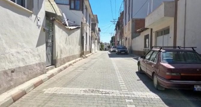 Kadıköy’de Bir Sokağı Pire Ve Keneler Sardı