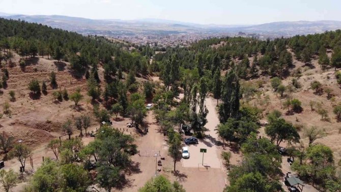 Jandarmadan Orman Yangınlara Karşı Dronlu Denetim