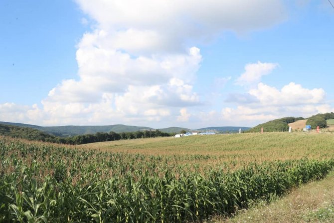 Mısır Hasadı Şenlik Havasında Başladı