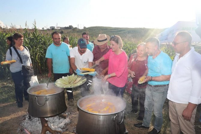 Mısır Hasadı Şenlik Havasında Başladı