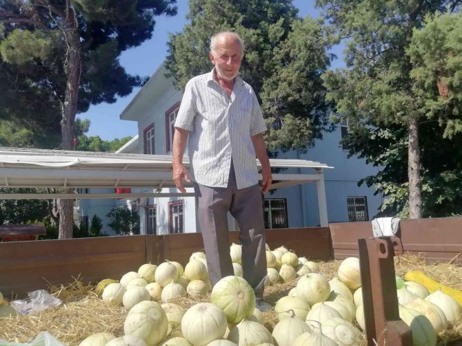 Manyas’ta Yerli Ürün Bollaşınca Sebze Fiyatlarında Düşüş Yaşandı