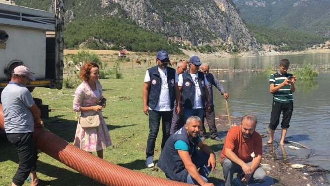 Sinop’ta İç Sulara 2 Milyon 697 Bin Sazan Takviyesi