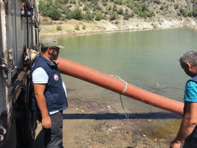 Sinop’ta İç Sulara 2 Milyon 697 Bin Sazan Takviyesi