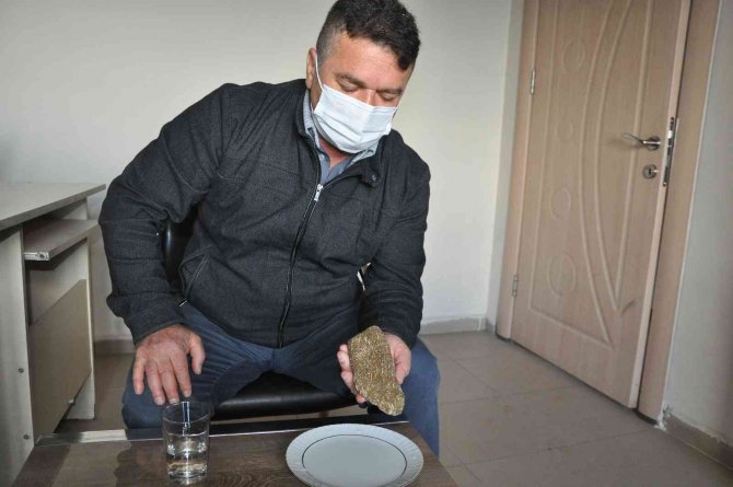 Şırnak’ta 50 Milyon Yıllık Olduğu Değerlendirilen Fosil Bulundu