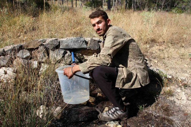 Şifalı Denen Su Akla Rize’yi Getirdi