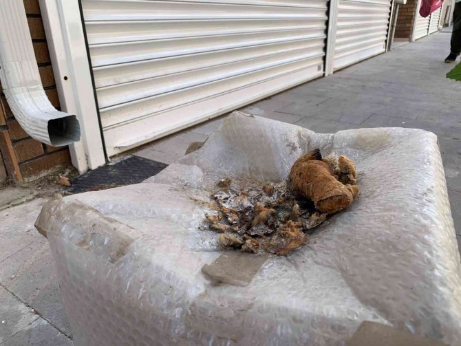 Sokak Hayvanları İçin Gelişigüzel Bırakılan Yiyecek Artıkları ‘Pes’ Dedirtti
