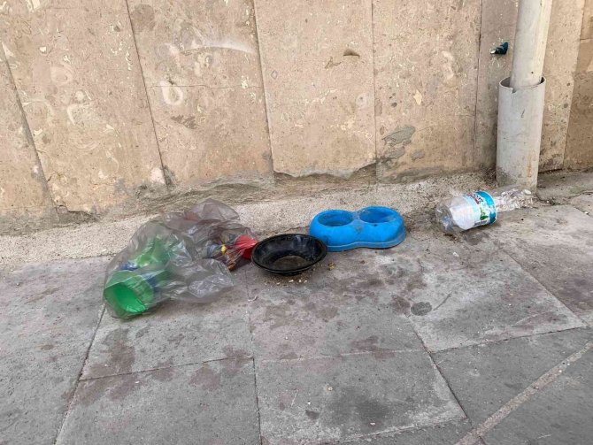 Sokak Hayvanları İçin Gelişigüzel Bırakılan Yiyecek Artıkları ‘Pes’ Dedirtti