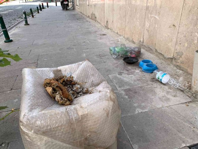 Sokak Hayvanları İçin Gelişigüzel Bırakılan Yiyecek Artıkları ‘Pes’ Dedirtti