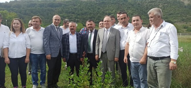 Zonguldak’ta Aronya Meyvesinin Hasadı Gerçekleştirildi