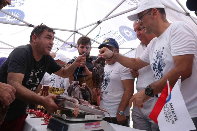 Zehirli Aslan Balığını Yakalamak İçin Yarıştılar, Tuttuklarını Izgarada Pişirip Yediler