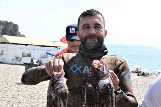 Zehirli Aslan Balığını Yakalamak İçin Yarıştılar, Tuttuklarını Izgarada Pişirip Yediler