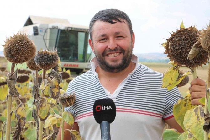 Stratejik Ürün Ayçiçeğinde Hasat Mesaisi