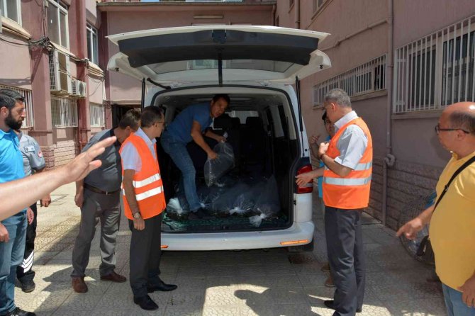 Aydın’da 741 Bin Sazan Suyla Buluştu