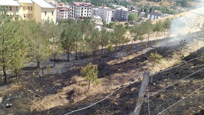 Bayburt’ta Çıkan Yangında 10 Dekarlık Alan Küle Döndü
