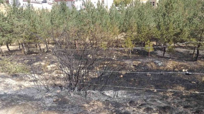 Bayburt’ta Çıkan Yangında 10 Dekarlık Alan Küle Döndü