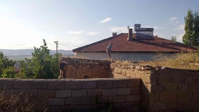 Papağanları Bulununca Sevinçten Ağladılar
