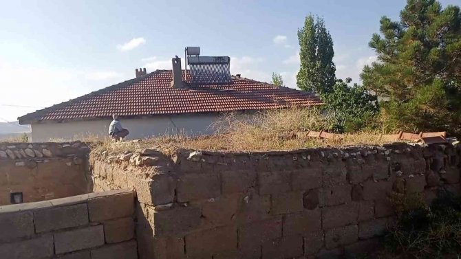 Papağanları Bulununca Sevinçten Ağladılar
