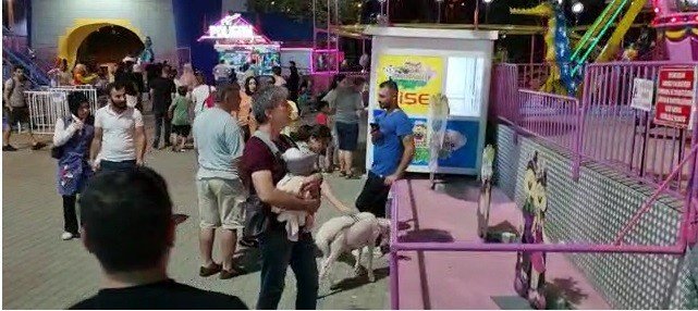 Sahibiyle Lunaparka Giden Kuzu İlgi Odağı Oldu