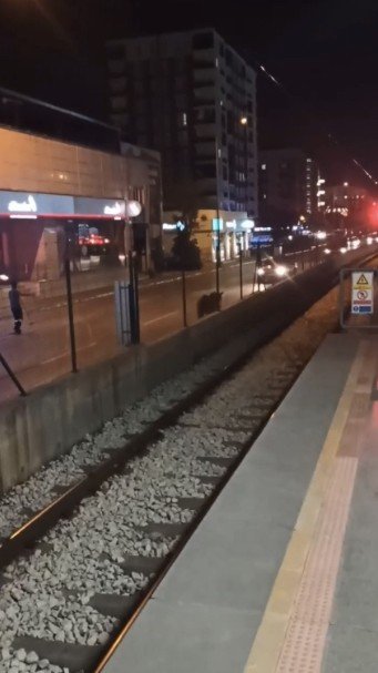Bursa’nın Yollarında Başıboş Atlar Cirit Atıyor