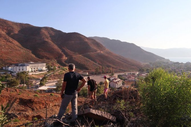 Diktikleri Fidanları Her Gün Kontrol Edip Suluyorlar
