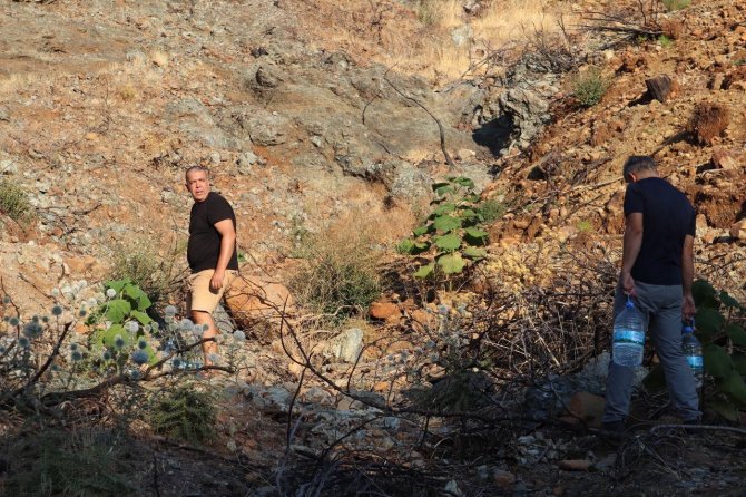 Diktikleri Fidanları Her Gün Kontrol Edip Suluyorlar