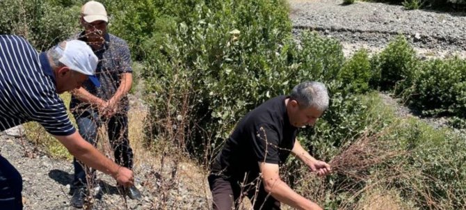 Elazığ’da Biyoçeşitlilik İzleme Çalışmaları Sürüyor