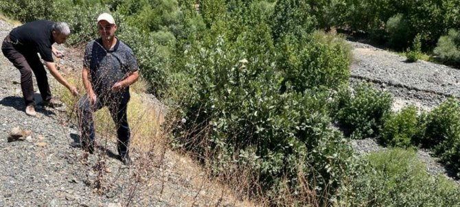 Elazığ’da Biyoçeşitlilik İzleme Çalışmaları Sürüyor